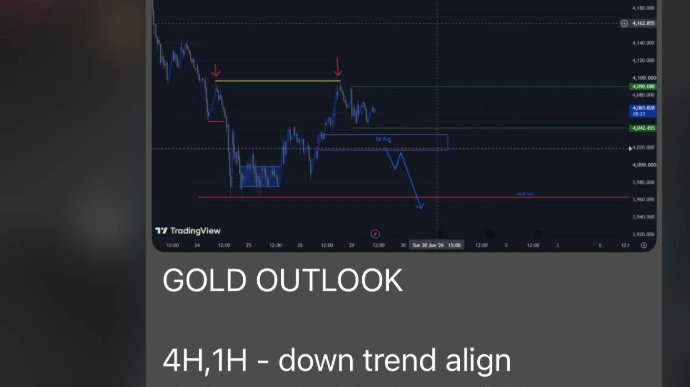 market insight and signal
